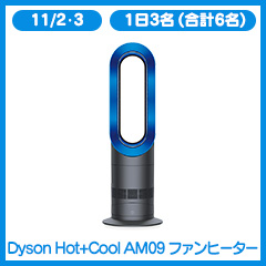 11/2･3　1日3名 (合計6名) Dyson Hot+Cool AM09 ファンヒーター